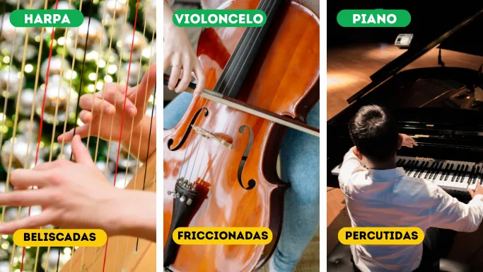 categorias dos instrumentos de cordas